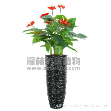 2016 hot selling artificial anthurium plant,fake red anthurium